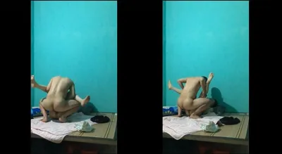 Dập nát bướm bồ cũ